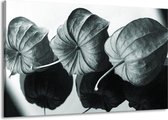 Peinture | Peinture sur toile fleur | Gris, vert, noir | 140x90cm 1 Liège | Tirage photo sur toile