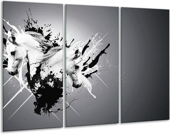 Glasschilderij Design, Paard - Zwart, Wit, Grijs - 120x80cm 3Luik - Foto Op Glas - Geen Acrylglas Schilderij - GroepArt 6000+ Glas Art Collectie - Maatwerk Mogelijk