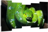 GroepArt - Canvas Schilderij - Natuur - Groen, Zwart - 150x80cm 5Luik- Groot Collectie Schilderijen Op Canvas En Wanddecoraties