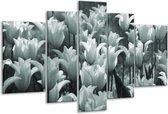 Glasschilderij Tulpen, Bloemen - Grijs, Groen - 170x100cm 5Luik - Foto Op Glas - Geen Acrylglas Schilderij - 6000+ Glasschilderijen Collectie - Wanddecoratie