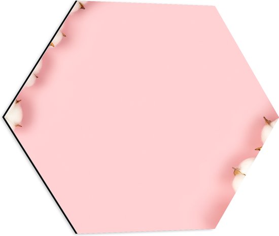 Dibond Hexagon - Katoenbollen Takken tegen Lichtroze Achtergrond - 50x43.5 cm Foto op Hexagon (Met Ophangsysteem)
