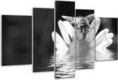 Glasschilderij Bloem - Grijs, Zwart, Wit - 170x100cm 5Luik - Foto Op Glas - Geen Acrylglas Schilderij - 6000+ Glasschilderijen Collectie - Wanddecoratie