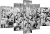 Glasschilderij Bloemen - Grijs, Zwart - 170x100cm 5Luik - Foto Op Glas - Geen Acrylglas Schilderij - 6000+ Glasschilderijen Collectie - Wanddecoratie