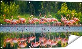 Gards Tuinposter Kudde Flamingo's op het Water - 120x60 cm - Tuindoek - Tuindecoratie - Wanddecoratie buiten - Tuinschilderij