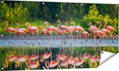 Gards Tuinposter Kudde Flamingo's op het Water - 140x70 cm - Tuindoek - Tuindecoratie - Wanddecoratie buiten - Tuinschilderij