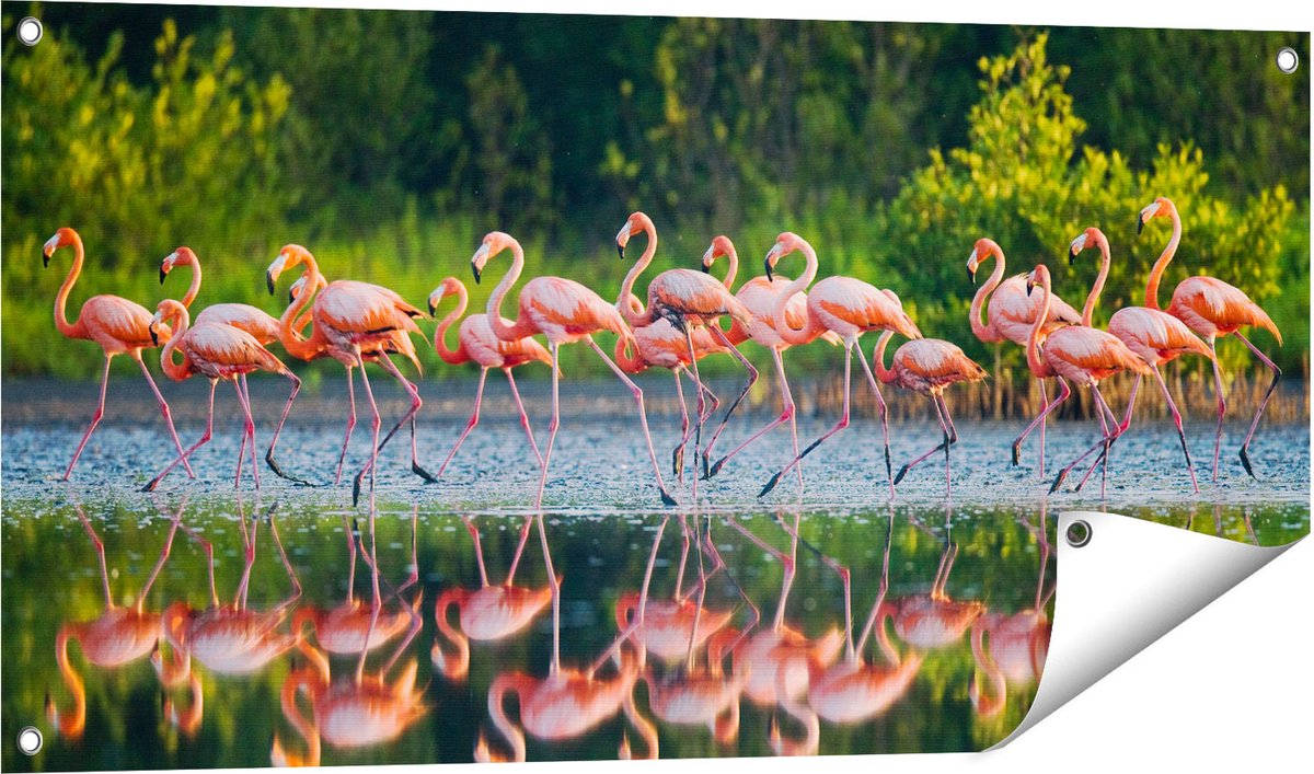 Gards Tuinposter Kudde Flamingo's op het Water - 100x50 cm - Tuindoek - Tuindecoratie - Wanddecoratie buiten - Tuinschilderij Multikleur