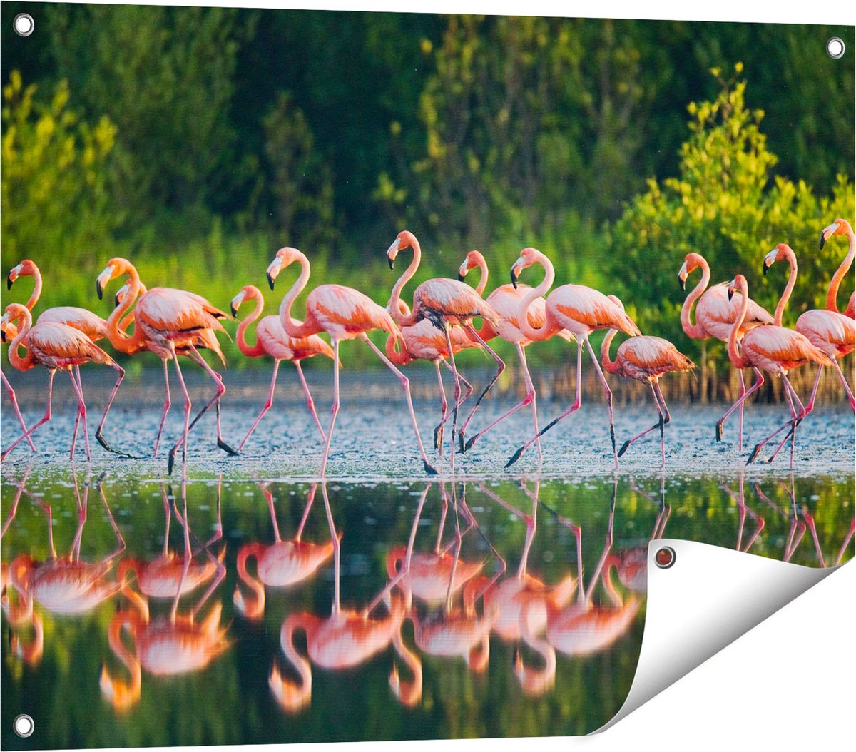 Gards Tuinposter Kudde Flamingo's op het Water - 80x60 cm - Tuindoek - Tuindecoratie - Wanddecoratie buiten - Tuinschilderij Multikleur