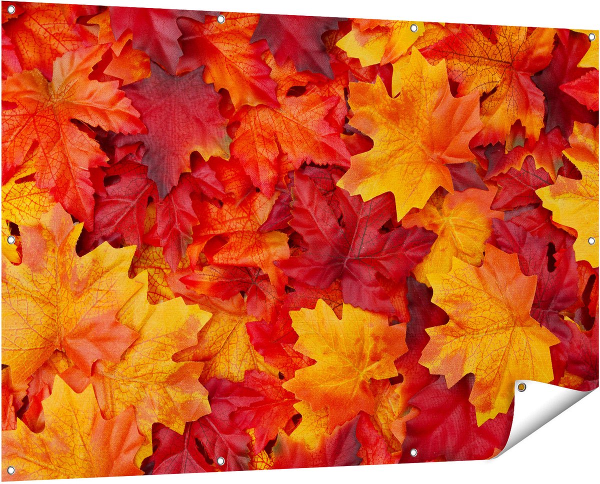 Gards Tuinposter Herfstbladeren in het Oranje en Rood - 150x100 cm - Tuindoek - Tuindecoratie - Wanddecoratie buiten - Tuinschilderij Multikleur
