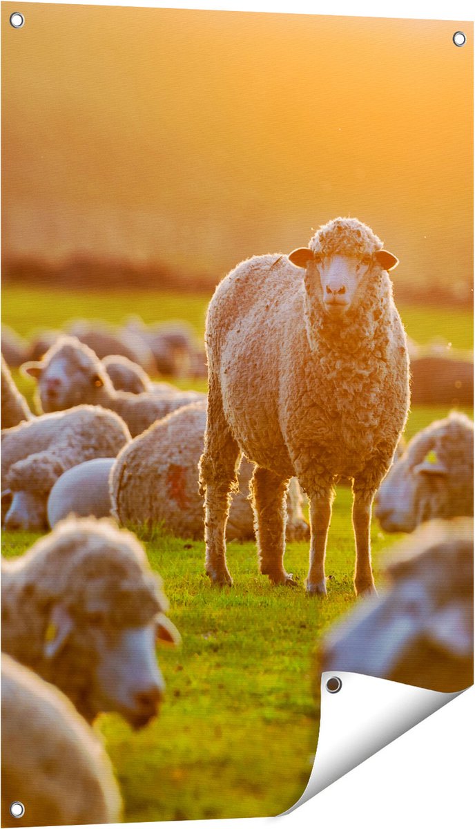 Gards Tuinposter Kudde Schapen bij Zonsondergang - 60x90 cm - Tuindoek - Tuindecoratie - Wanddecoratie buiten - Tuinschilderij Multikleur