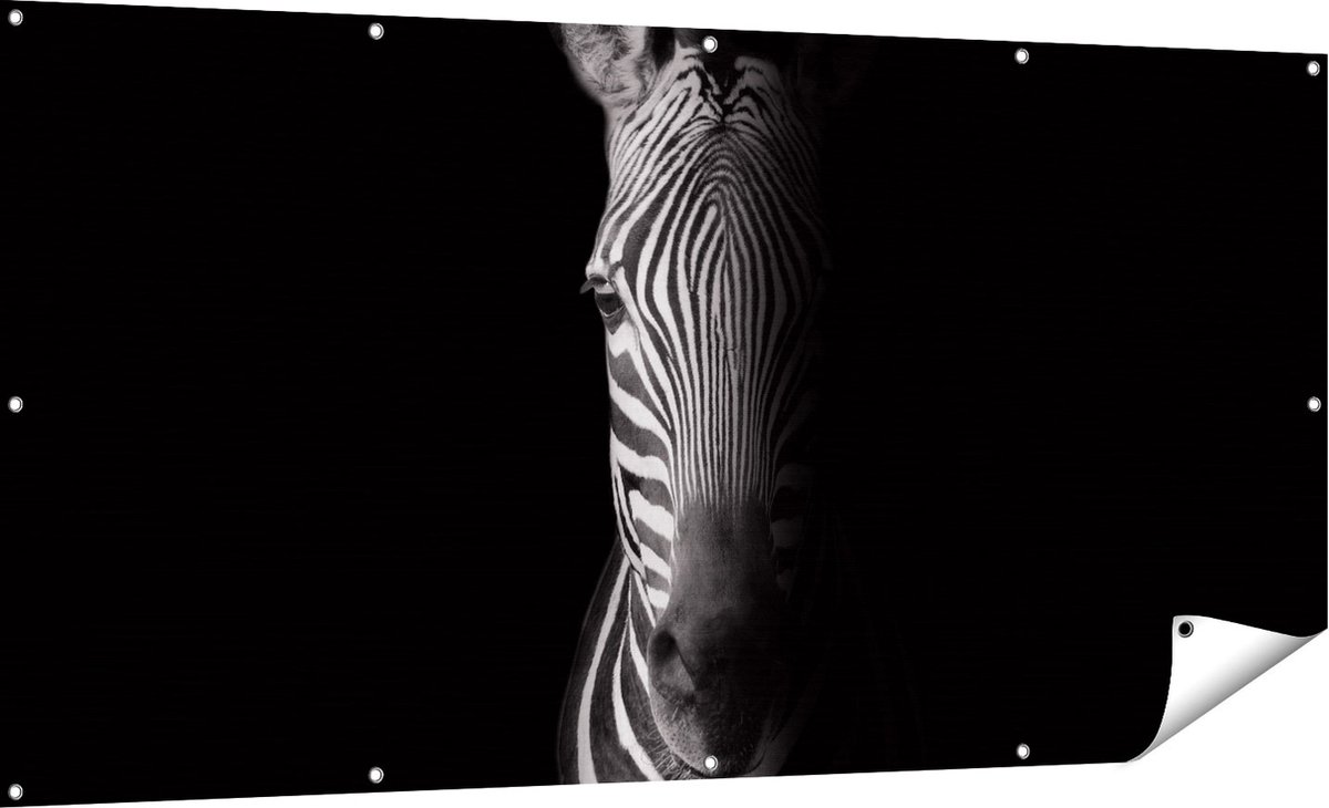 Gards Tuinposter Halve Zebra - Zwart Wit - 180x90 cm - Tuindoek - Tuindecoratie - Wanddecoratie buiten - Tuinschilderij Multikleur
