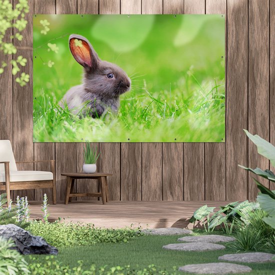 Affiche de jardin Gards Lapin dans l'herbe - 180x120 cm - Toile de