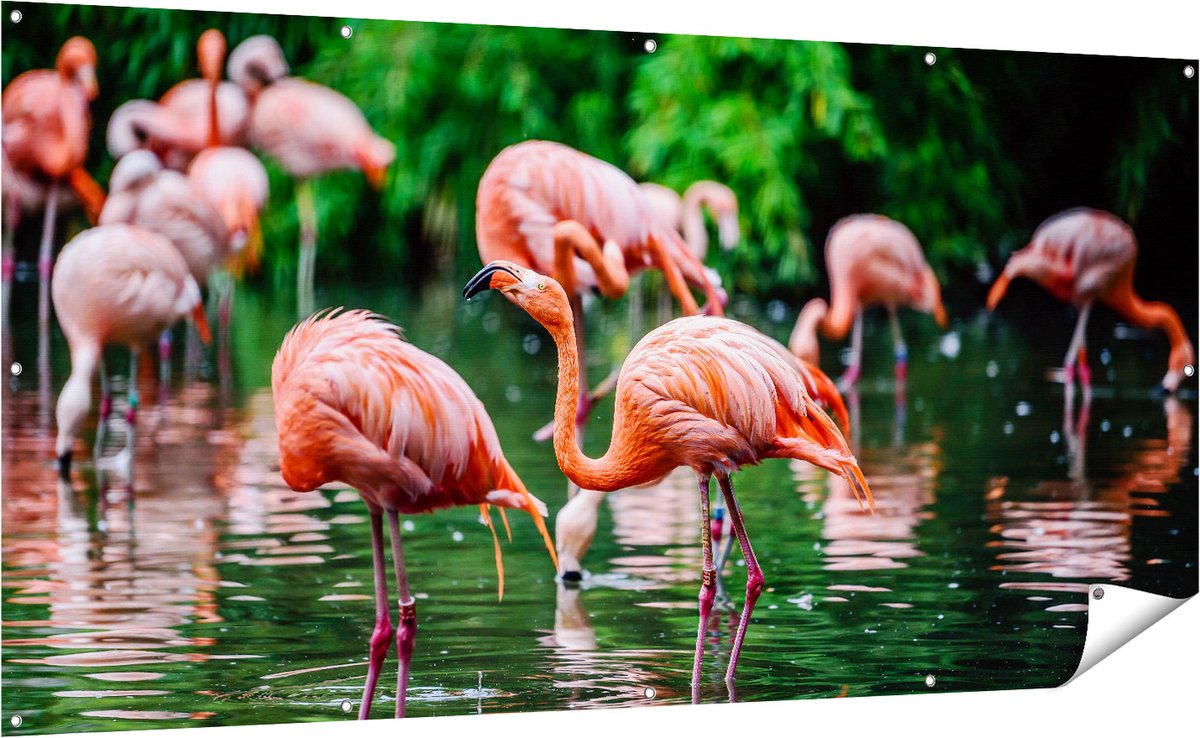Gards Tuinposter Kudde Flamingo's in de Jungle in het Water - 200x100 cm - Tuindoek - Tuindecoratie - Wanddecoratie buiten - Tuinschilderij Multikleur
