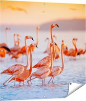 Gards Tuinposter Kudde Flamingo's in het Water - 100x100 cm - Tuindoek - Tuindecoratie - Wanddecoratie buiten - Tuinschilderij