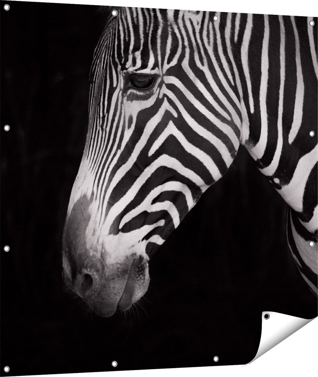 Gards Tuinposter Zebra Kop vanaf de Zijkant - Zwart Wit - 110x110 cm - Tuindoek - Tuindecoratie - Wanddecoratie buiten - Tuinschilderij Multikleur