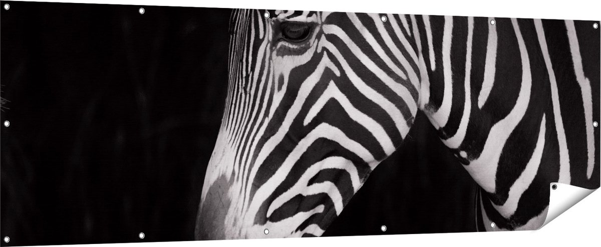 Gards Tuinposter Zebra Kop vanaf de Zijkant - Zwart Wit - 210x70 cm - Tuindoek - Tuindecoratie - Wanddecoratie buiten - Tuinschilderij Multikleur