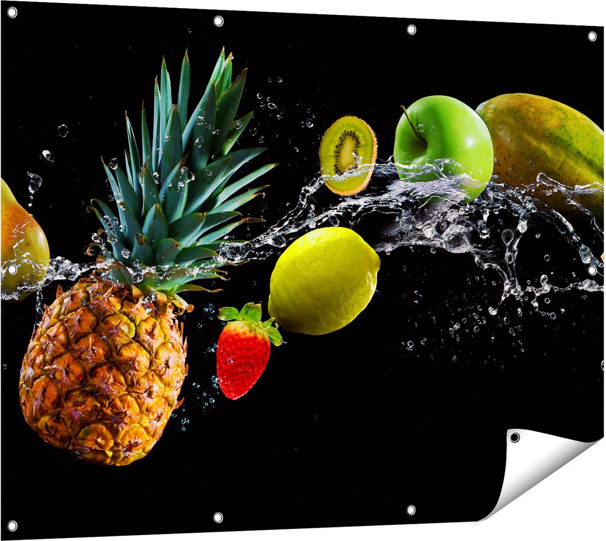 Gards Tuinposter Fruit met Water op Zwart Achtergrond - 120x90 cm - Tuindoek - Tuindecoratie - Wanddecoratie buiten - Tuinschilderij Multikleur