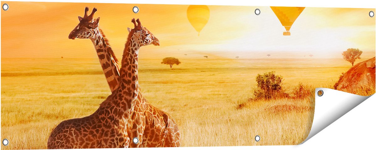 Gards Tuinposter Twee Giraffen met Twee Oranje Luchtballonnen - 120x40 cm - Tuindoek - Tuindecoratie - Wanddecoratie buiten - Tuinschilderij Multikleur