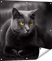 Affiche de jardin Gards Chat noir aux yeux jaunes - 80x80 cm - Toile de jardin - Décoration de jardin - Décoration murale extérieur - Tableau de jardin
