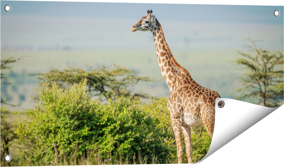 Gards Tuinposter Giraffe in het Wild tussen de Struiken - 80x40 cm - Tuindoek - Tuindecoratie - Wanddecoratie buiten - Tuinschilderij Multikleur