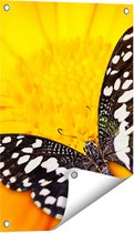 Gards Tuinposter Vlinder op een Oranje Bloem - 40x60 cm - Tuindoek - Tuindecoratie - Wanddecoratie buiten - Tuinschilderij