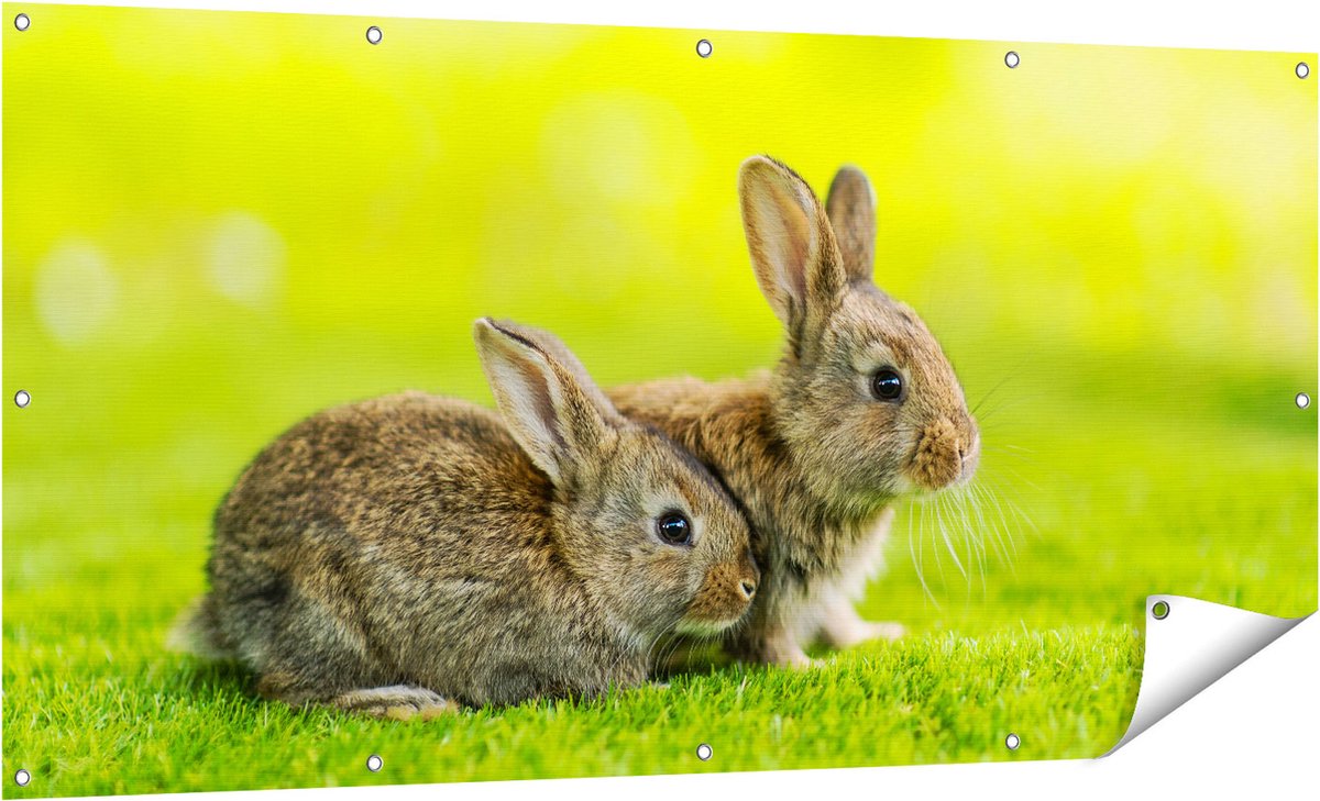 Gards Tuinposter Twee Konijnen op het Groene Gras - 160x80 cm - Tuindoek - Tuindecoratie - Wanddecoratie buiten - Tuinschilderij Multikleur