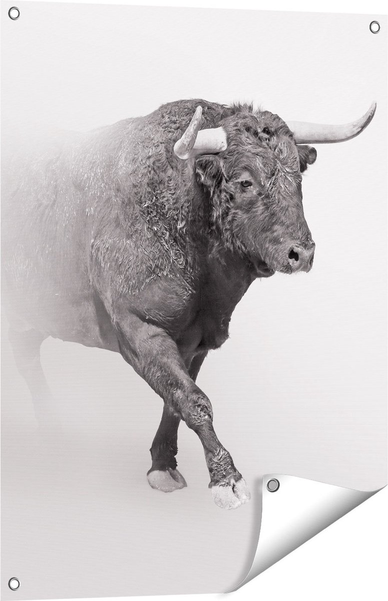 Gards Tuinposter Stier op een Grijze Achtergrond - Zwart Wit - 60x80 cm - Tuindoek - Tuindecoratie - Wanddecoratie buiten - Tuinschilderij Multikleur