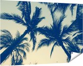 Gards Tuinposter Palmbomen Bladeren - 150x100 cm - Tuindoek - Tuindecoratie - Wanddecoratie buiten - Tuinschilderij