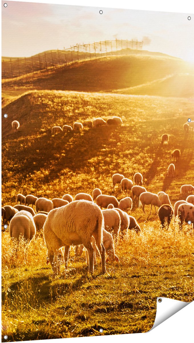 Gards Tuinposter Schapen in de Heuvels bij Zonsondergang - 100x150 cm - Tuindoek - Tuindecoratie - Wanddecoratie buiten - Tuinschilderij Multikleur