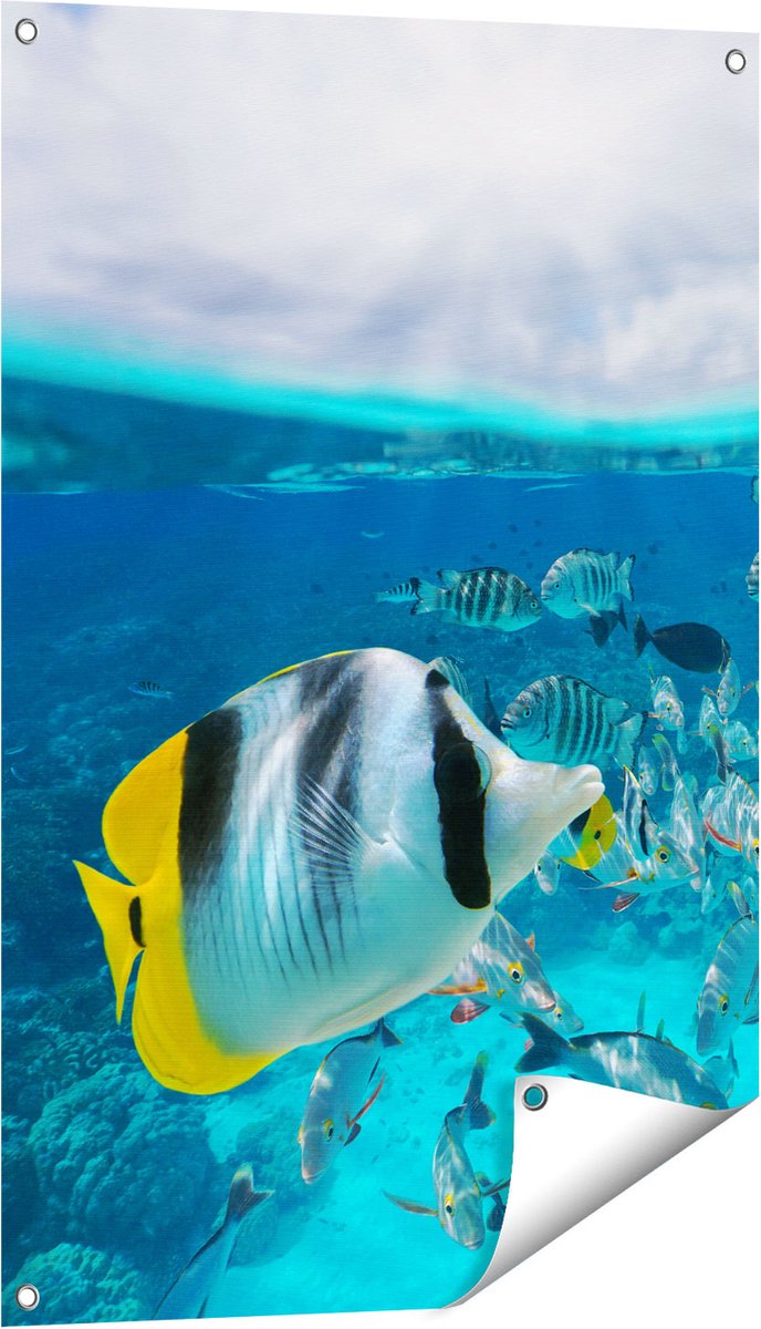 Gards Tuinposter Zwerm Gele Vissen in het Water - 60x90 cm - Tuindoek - Tuindecoratie - Wanddecoratie buiten - Tuinschilderij Multikleur