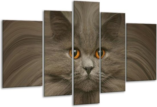 Peinture sur verre Chat | Gris, marron, blanc | 170x100cm 5 Liège | Tirage photo sur verre |  F001132