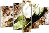 Glasschilderij Tulpen - Groen, Bruin, Wit - 170x100cm 5Luik - Foto Op Glas - Geen Acrylglas Schilderij - 6000+ Glasschilderijen Collectie - Wanddecoratie