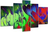 Glasschilderij Krokus - Blauw, Groen, Rood - 170x100cm 5Luik - Foto Op Glas - Geen Acrylglas Schilderij - 6000+ Glasschilderijen Collectie - Wanddecoratie