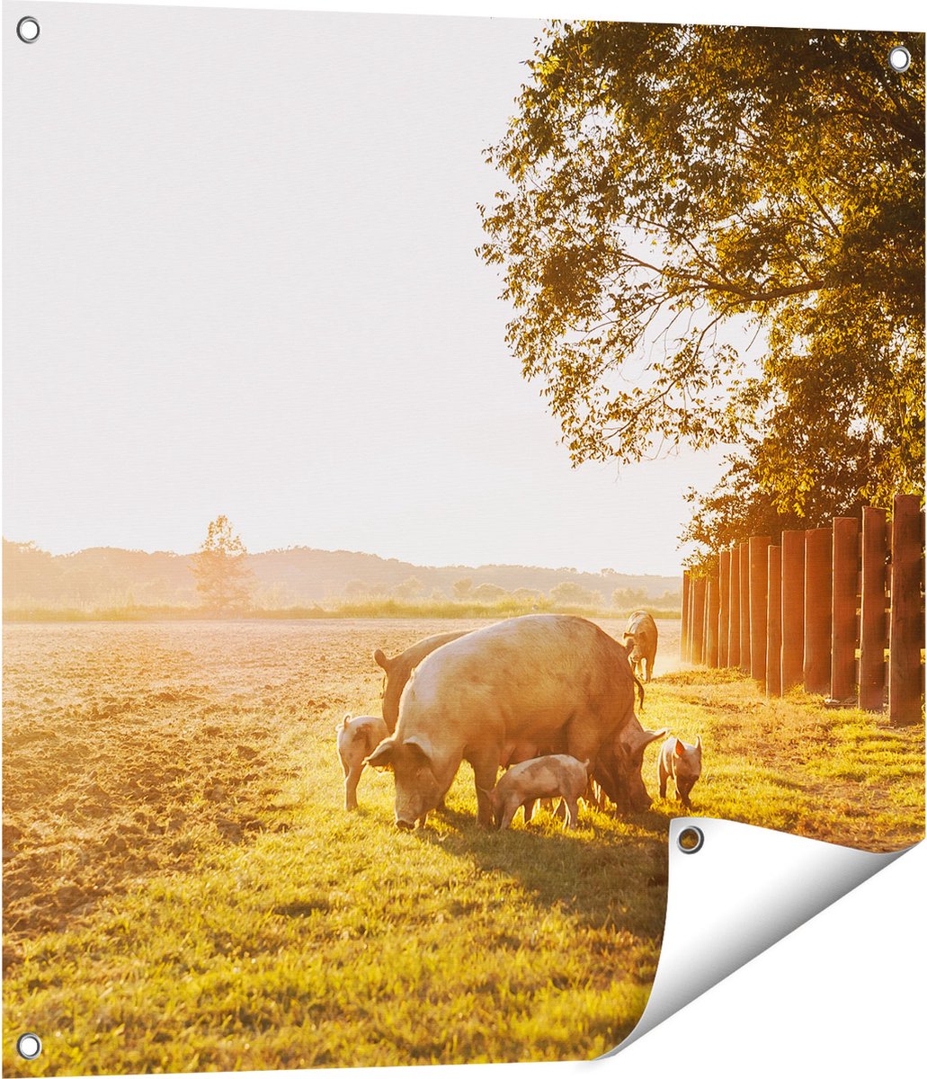 Gards Tuinposter Varken Familie - Varkens - 70x70 cm - Tuindoek - Tuindecoratie - Wanddecoratie buiten - Tuinschilderij Multikleur