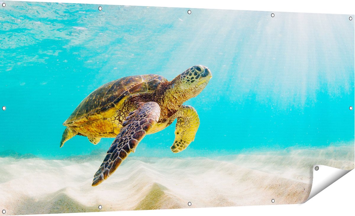 Gards Tuinposter Schildpad Zwemt in de Helder Blauwe Zee - 180x90 cm - Tuindoek - Tuindecoratie - Wanddecoratie buiten - Tuinschilderij Multikleur