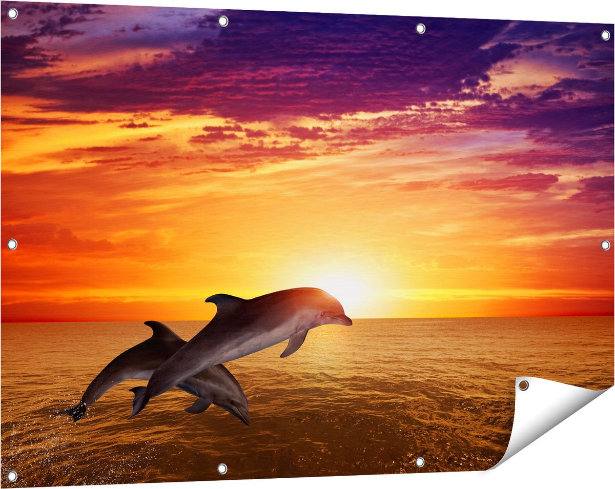Gards Tuinposter Twee Dolfijnen bij de Zonsondergang - 120x80 cm - Tuindoek - Tuindecoratie - Wanddecoratie buiten - Tuinschilderij Multikleur