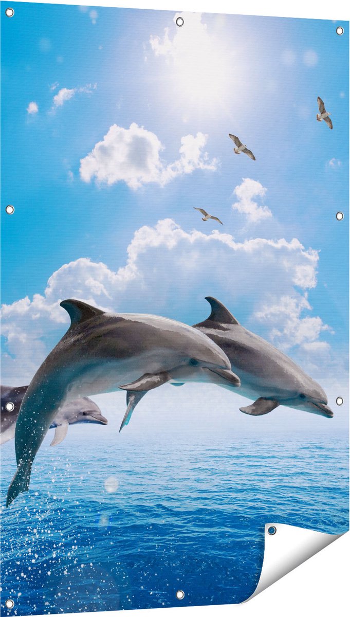 Gards Tuinposter Dolfijnen Springen uit de Blauwe Zee - 80x120 cm - Tuindoek - Tuindecoratie - Wanddecoratie buiten - Tuinschilderij Multikleur
