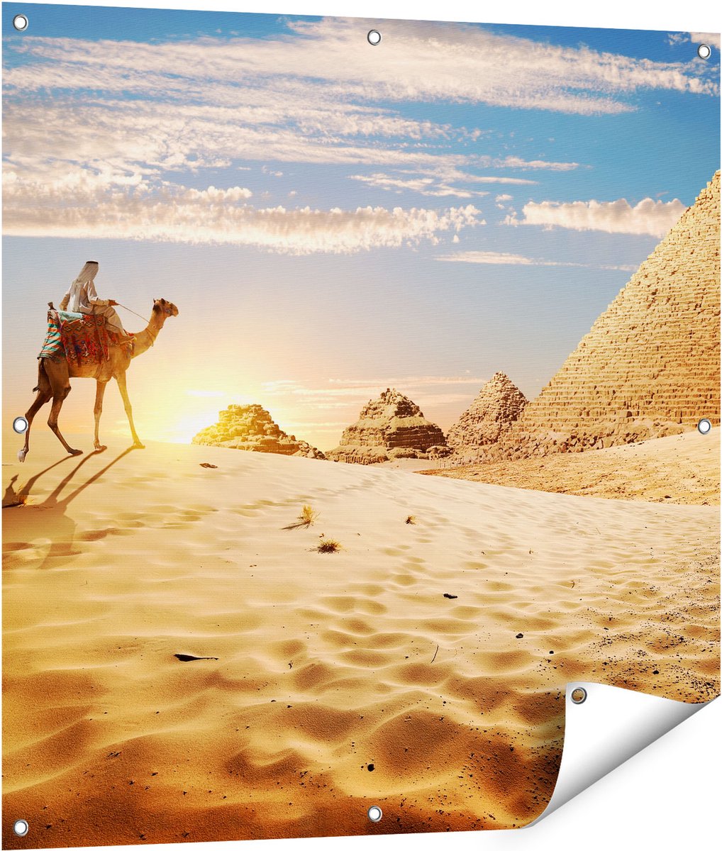 Gards Tuinposter Egyptische Piramides met een Kameel - 90x90 cm - Tuindoek - Tuindecoratie - Wanddecoratie buiten - Tuinschilderij Multikleur