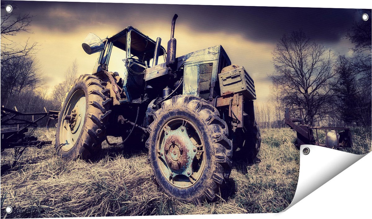 Gards Tuinposter Oude Tractor op het Grasveld - Trekker - 100x50 cm - Tuindoek - Tuindecoratie - Wanddecoratie buiten - Tuinschilderij Multikleur