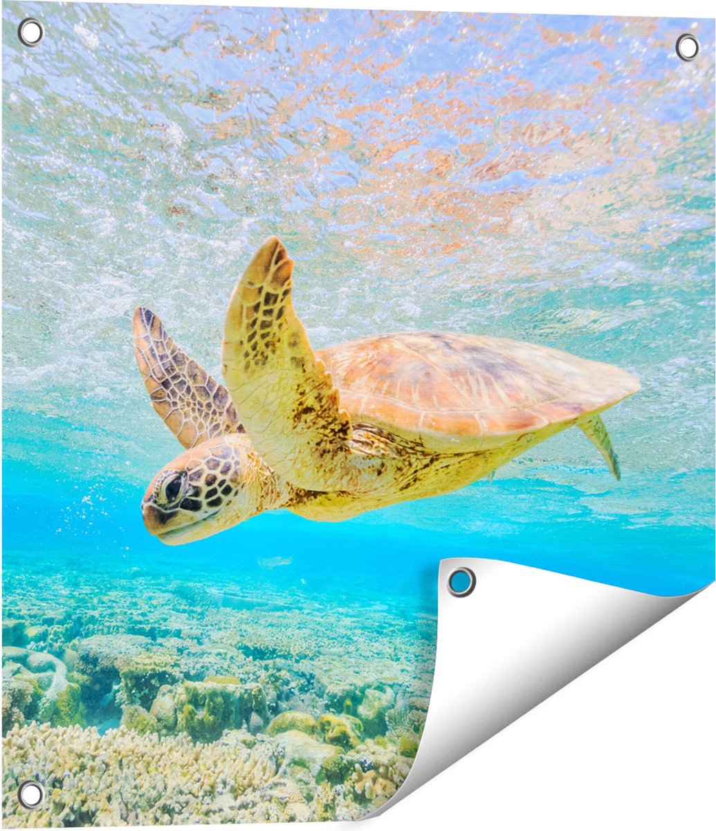 Gards Tuinposter Schildpad Zwemt in de Zee bij het Rif - 50x50 cm - Tuindoek - Tuindecoratie - Wanddecoratie buiten - Tuinschilderij Multikleur