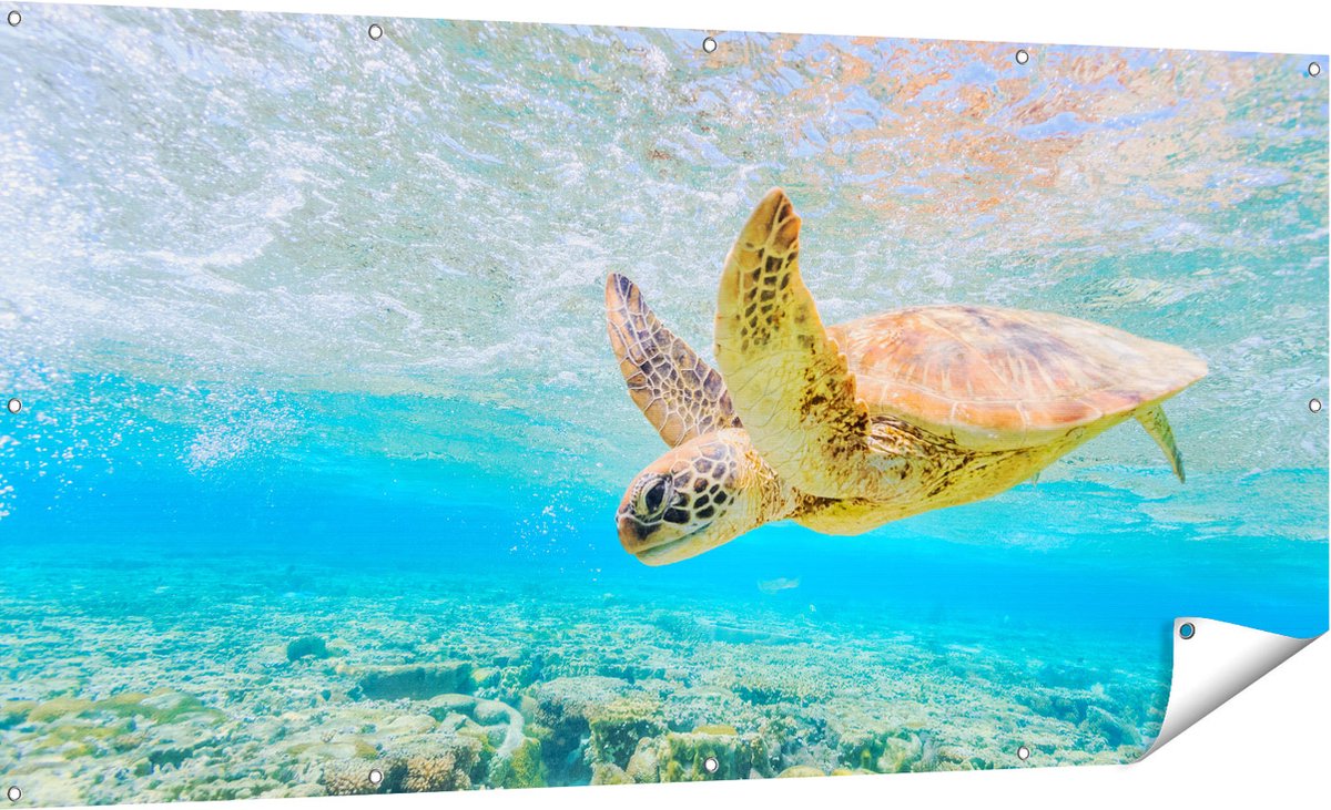 Gards Tuinposter Schildpad Zwemt in de Zee bij het Rif - 180x90 cm - Tuindoek - Tuindecoratie - Wanddecoratie buiten - Tuinschilderij Multikleur