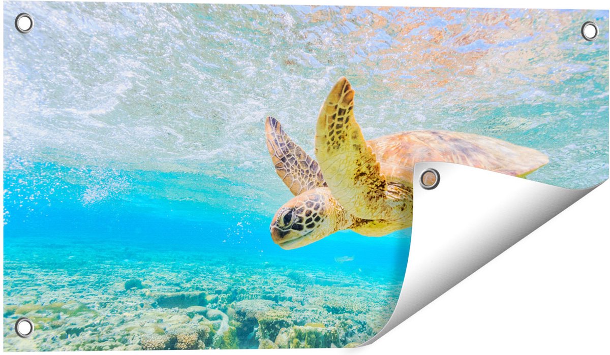 Gards Tuinposter Schildpad Zwemt in de Zee bij het Rif - 60x30 cm - Tuindoek - Tuindecoratie - Wanddecoratie buiten - Tuinschilderij Multikleur