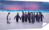 Gards Tuinposter Groep Pingu�ns bij het Water - Kudde - 160x80 cm - Tuindoek - Tuindecoratie - Wanddecoratie buiten - Tuinschilderij