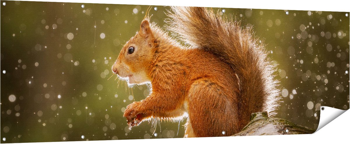 Gards Tuinposter Eekhoorn in de Regen - 210x70 cm - Tuindoek - Tuindecoratie - Wanddecoratie buiten - Tuinschilderij Multikleur