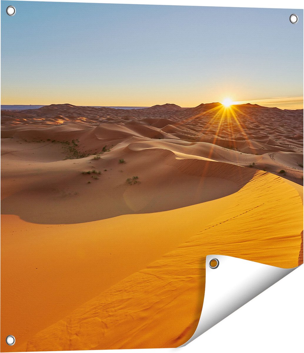 Gards Tuinposter Woestijn in de Sahara met een Opkomende Zon - 60x60 cm - Tuindoek - Tuindecoratie - Wanddecoratie buiten - Tuinschilderij Multikleur