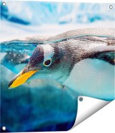 Gards Tuinposter Pingu�n Zwemt onder Water - 60x60 cm - Tuindoek - Tuindecoratie - Wanddecoratie buiten - Tuinschilderij