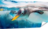 Gards Tuinposter Pingu�n Zwemt onder Water - 160x80 cm - Tuindoek - Tuindecoratie - Wanddecoratie buiten - Tuinschilderij