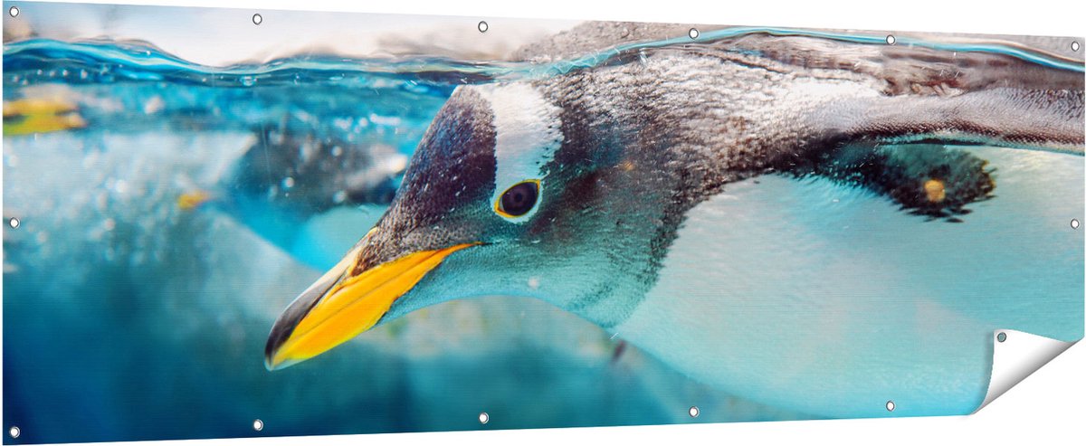 Gards Tuinposter Pingu�n Zwemt onder Water - 210x70 cm - Tuindoek - Tuindecoratie - Wanddecoratie buiten - Tuinschilderij Multikleur