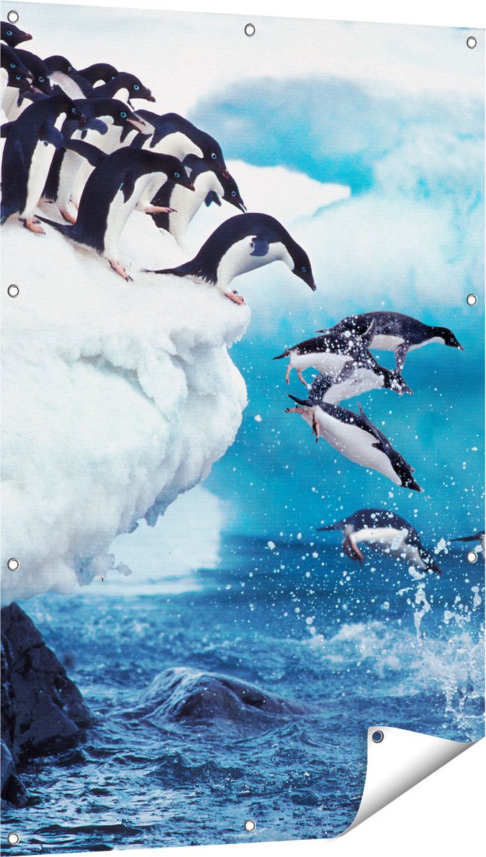 Gards Tuinposter Kudde Pingu�ns Springen vanaf een Rots - 80x120 cm - Tuindoek - Tuindecoratie - Wanddecoratie buiten - Tuinschilderij Multikleur
