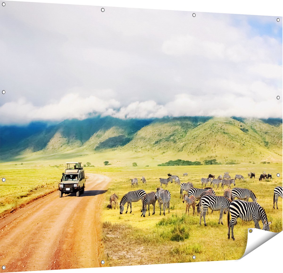 Gards Tuinposter Safari Auto tussen de Zebra's - 150x120 cm - Tuindoek - Tuindecoratie - Wanddecoratie buiten - Tuinschilderij Multikleur