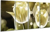 GroepArt - Glasschilderij - Tulp - Wit, Grijs - 160x80cm 4Luik - Foto Op Glas - Geen Acrylglas Schilderij - 6000+ Glasschilderijen Collectie - Wanddecoratie